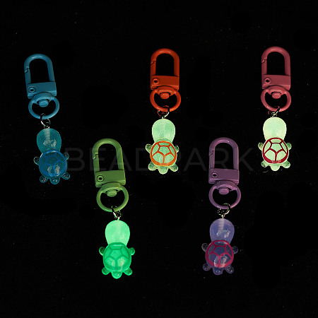 Luminous Transparent Resin Pendant Decorations HJEW-JM03093-1