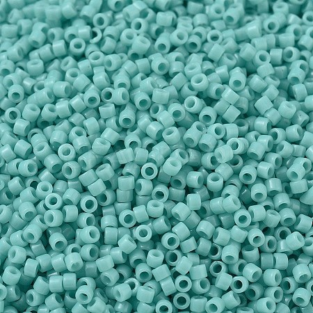 MIYUKI Delica Beads SEED-MY11-DB1136-1