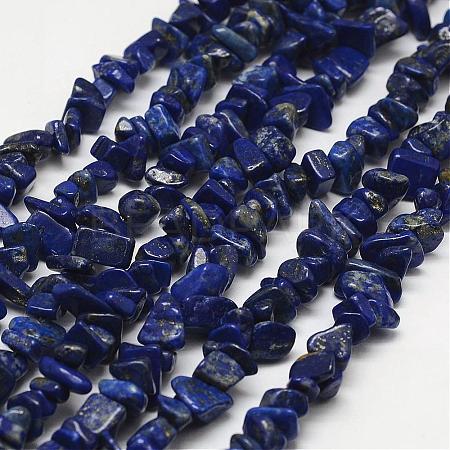 Natural Lapis Lazuli Beads Strands G-F328-15-B-1