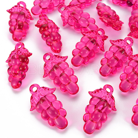 Autumn Theme Transparent Acrylic Beads TACR-S154-60B-906-1