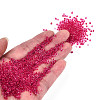 12/0 Glass Seed Beads SEED-A014-2mm-133-5