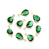 K9 Glass Charms GLAA-T023-10E-1