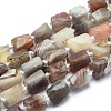 Natural Botswana Agate Beads Strands G-O170-39B-1