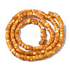 Natural Trochus Shell Beads Strands LS-SHEL-S278-027F-2