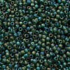 TOHO 11/0 Round Beads SEED-TR11-0179F-2