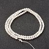 Natural White Shell Beads Strands G-G680-54-2