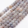 Frosted Natural Weathered Agate Beads Strands G-F374-8mm-02-1