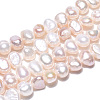Natural Cultured Freshwater Pearl Beads Strands PEAR-N014-04D-3