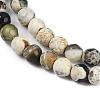 Natural Fire Crackle Agate Beads Strands G-C082-A01-49-4