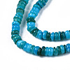 Natural Freshwater Shell Beads Strands SHEL-S278-067B-3