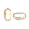 Brass Micro Pave Cubic Zirconia Screw Carabiner Lock Charms ZIRC-G160-21G-2