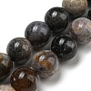 Natural Dendritic Jasper Beads Strands G-R494-A23-04-1