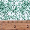 MIYUKI Delica Beads SEED-X0054-DB1182-2
