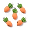 Resin Pendants RESI-C002-31-1