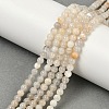 Natural White Moonstone Beads Strands X-G-D294-4mm-01-2