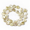 Drawbench Freshwater Shell Beads Strands SHEL-T014-012H-2