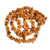 Natural Amber Beads Beads Strands G-Q060-C05-3
