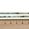 Natural Chrysoprase Beads Strands LS-G-M389-22-5