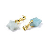 Natural Amazonite Charms X-G-N326-142-08-3