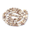 Natural Shell Beads Strands X-SSHEL-Q298-13-2