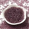 Transparent Colours Glass Seed Beads SEED-P006-02A-13-2