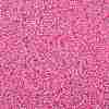 TOHO Round Seed Beads SEED-XTR11-0038-2