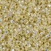 MIYUKI Round Rocailles Beads X-SEED-G009-RR0577-3