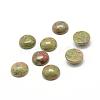 Natural Unakite Gemstone Cabochons G-T020-6mm-18-1