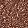 12/0 FGB Grade A Round Glass Seed Beads X-SEED-Q011-F501-2