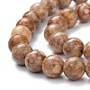 Natural Maifanite/Maifan Stone Beads Strands G-P451-01A-C-3