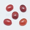 Natural Carnelian Cabochons G-G759-Z16-1