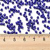 Baking Paint Glass Seed Beads SEED-S042-05A-26-4