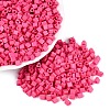 FGB Baking Paint Glass Seed Beads SEED-Q040-09A-04-1