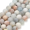 Natural Aquamarine Beads Strands G-P626-10mm-03-2