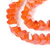 Electroplate Transparent Glass Beads Strands EGLA-Q139-01A-A10-3