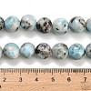 Natural Larimar Beads Strands G-L642-B19-10mm-5