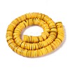 Natural Freshwater Shell Beads Strands SHEL-N037-03A-06-2