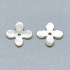 Natural White Shell Beads SSHEL-S260-056B-01-2