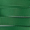 Polyester Grosgrain Ribbon SRIB-D014-B-587-2