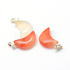 Moon Dyed Natural Agate Pendants G-Q369-13-2