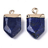 Natural Lapis Lazuli Pointed Pendants X-G-N326-34E-2
