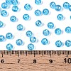 Transparent Glass Seed Beads SEED-N007-33A-06-4