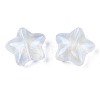 Transparent Acrylic Beads X-OACR-N008-096-4
