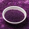 MIYUKI Round Rocailles Beads X-SEED-G009-RR0352-2