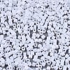 FGB 11/0 Grade A Glass Seed Beads X-SEED-S030-1141-2