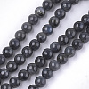 Natural Black Labradorite Beads Strands X-G-S333-6mm-021A-1
