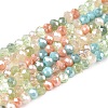 Electroplate Glass Beads Strands X-GLAA-T023-A16-07-1