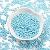 Baking Paint Glass Seed Beads X1-SEED-A033-05P-2