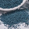 MIYUKI Delica Beads X-SEED-J020-DB0792-1
