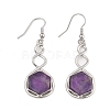 Hexagon Natural Amethyst Dangle Earrings EJEW-K298-01P-01-4